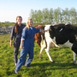 Hof Ten Hullenhove Hoeve Toerisme Belgie